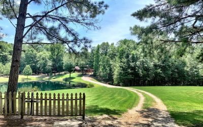 High Demand for Estate Lots