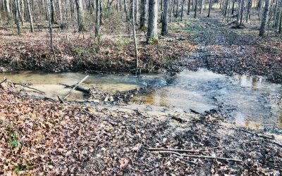 Wetland Reserve Easements (WRE) and Benefits to Landowners