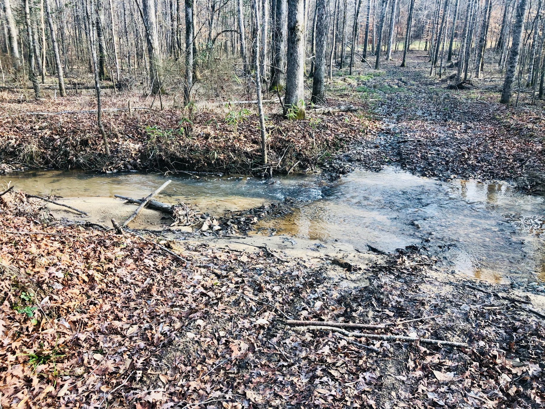 Wetlands Reserve Easements