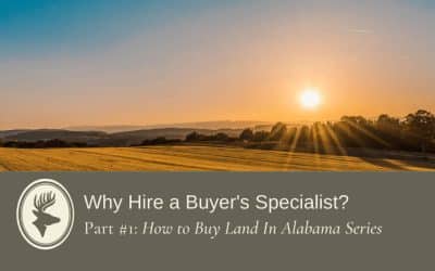 Why Hire A Buyer’s Specialist?