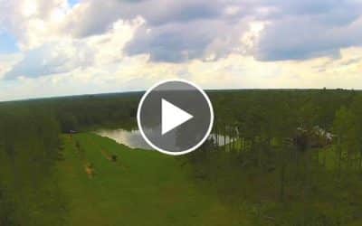 John Hall and Company About Us Video