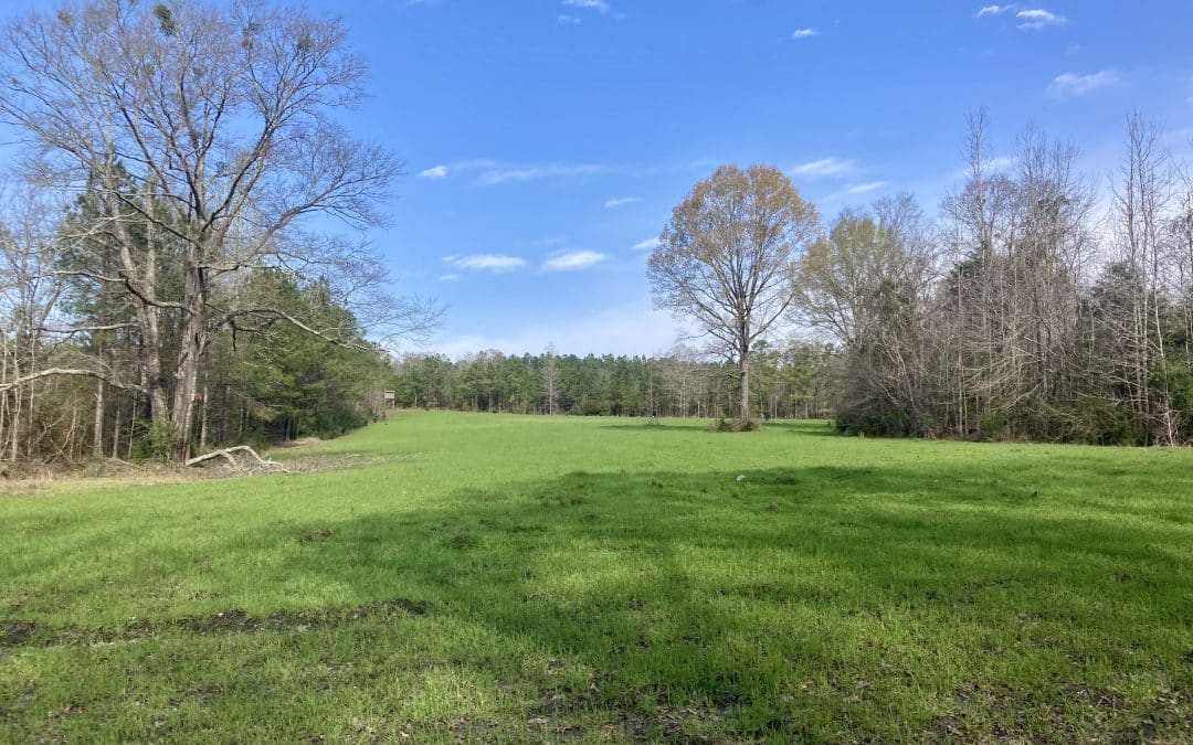 Felts Tract