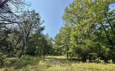 Billingsley Homesite