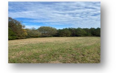 Fitzpatrick Lots