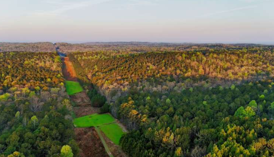 Weil-Regions Trust West Side 1,329 Acres
