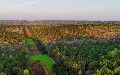 Weil-Regions Trust 2,029 Acres