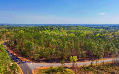 Weil-Regions Trust East Side 700 Acres