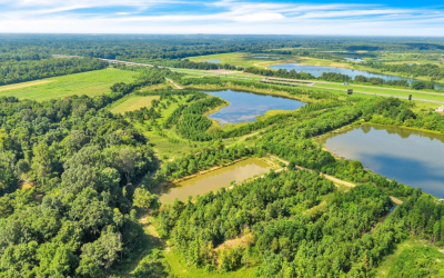 Ferry Cut Preserve