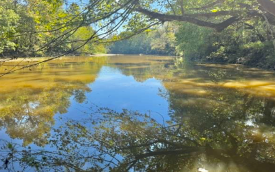 Catoma Creek Honey Hole